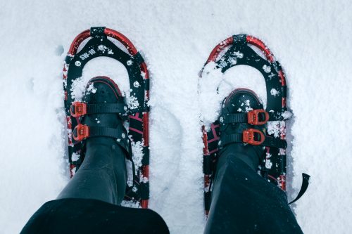 Takane, neige, raquettes, Niigata