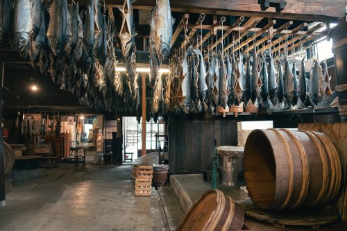 Murakami en hiver, Niigata, neige, saumon