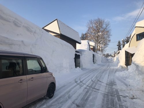Neige à Yamakoshi,Niigata,Satoyama,Cycle de l'eau,Japon