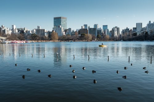 Test, Wifi gratuit de Tokyo, Connexion internet, Tokyo Wi-Fi, étang