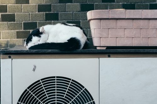 Test, Wifi gratuit de Tokyo, Connexion internet, Tokyo Wi-Fi, Yanesen