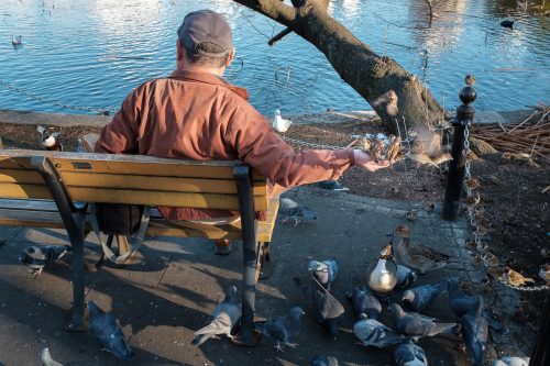 Test, Wifi gratuit de Tokyo, Connexion internet, Tokyo Wi-Fi, étang