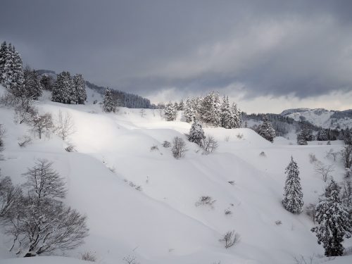 Neige à Yamakoshi,Niigata,Satoyama,Cycle de l'eau,Japon