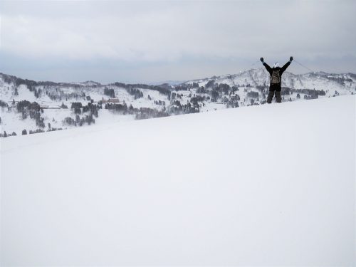 Koshi Kogen,Yamakoshi,Ski,Raquettes,Niigata
