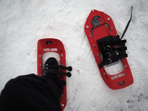 Koshi Kogen,Yamakoshi,Ski,Raquettes,Niigata