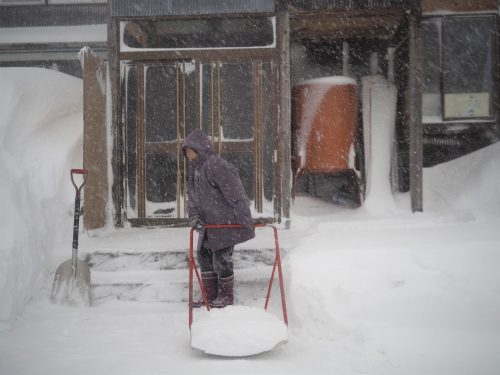 Neige à Yamakoshi,Niigata,Satoyama,Cycle de l'eau,Japon