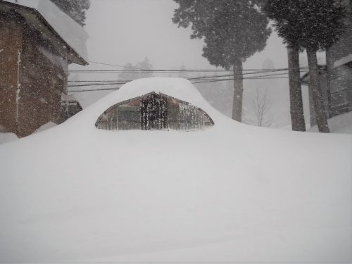 Neige à Yamakoshi,Niigata,Satoyama,Cycle de l'eau,Japon