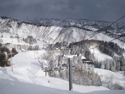 Koshi Kogen,Yamakoshi,Ski,Raquettes,Niigata
