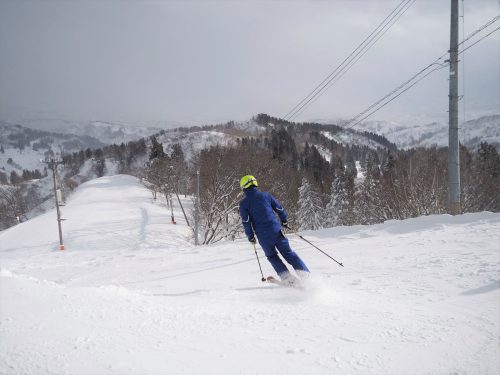 Koshi Kogen,Yamakoshi,Ski,Raquettes,Niigata