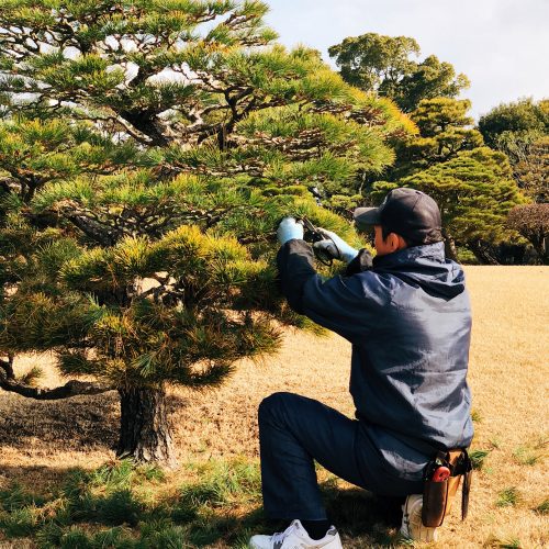 Parc Suizenji, jardin japonais, Kumamoto, Tokaido