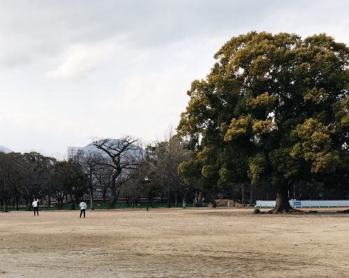 Château de Kumamoto, travaux, Japon, Kyushu