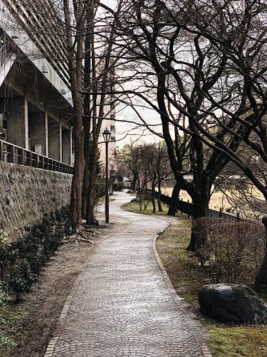 Château de Kumamoto, travaux, Japon, Kyushu