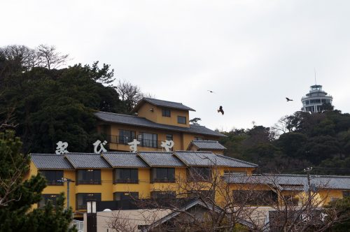 Ryokan Ebisuya, Enoshima, Japon, milans noirs