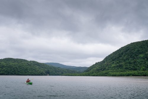 Canoë kayak sur le fleuve Urauchi sur l'île d'Iriomote dans la Préfecture d'Okinawa, Japon