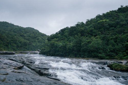 Le fleuve Urauchi sur l'île d'Iriomote dans la Préfecture d'Okinawa, Japon