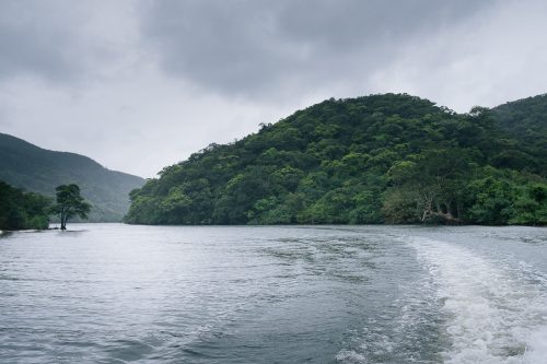 Le fleuve Urauchi sur l'île d'Iriomote dans la Préfecture d'Okinawa, Japon