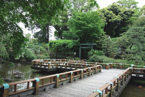 Un pont dans le jardin du sanctuaire Togo, Tokyo, Japon.