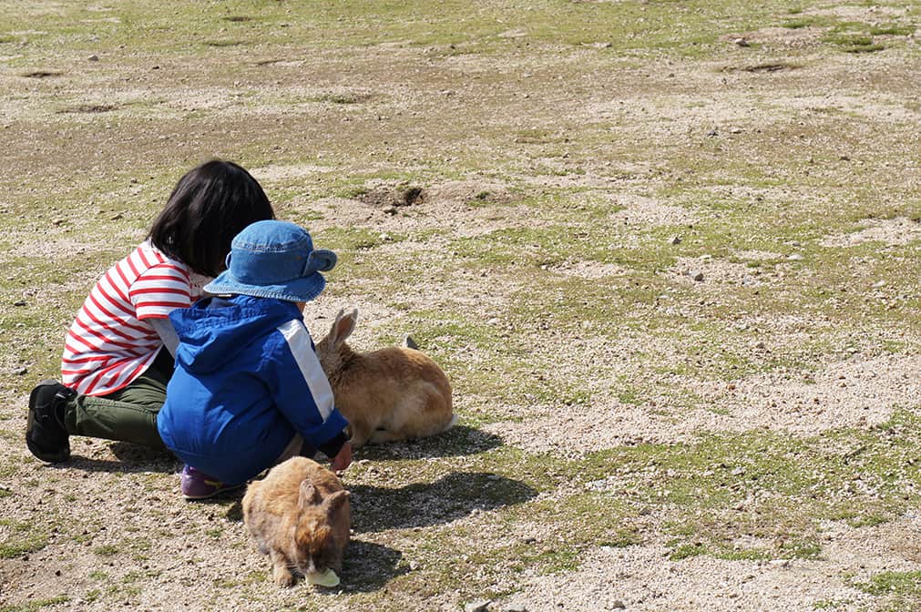 Enfants caressants des lapins sur à Okunoshima