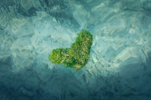 L'eau transparente des plages de Taketomi dans la Préfecture d'Okinawa, Japon