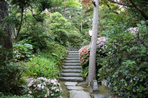 Jardin du ryotei Ikinariya dans le quartier de Furumachi à Niigata, Japon