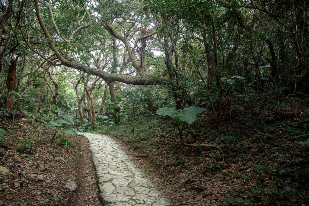 Visiter le Seifa Utaki est un véritable cheminement en pleine nature