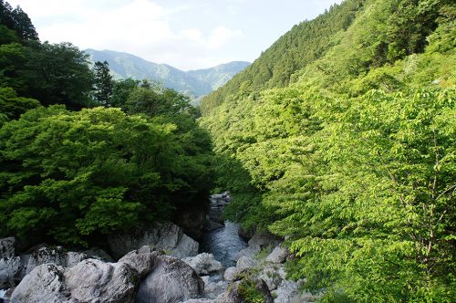 La vallée d'Iwayagawa où coule la rivière Niyodogawa dans la préfecture de Kochi, Japon