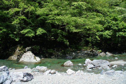 La vallée de Yodo où coule la rivière Niyodogawa dans la préfecture de Kochi, Japon