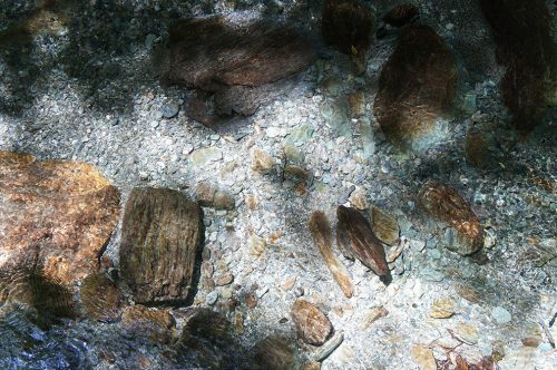 La vallée de Yodo où coule la rivière Niyodogawa dans la préfecture de Kochi, Japon