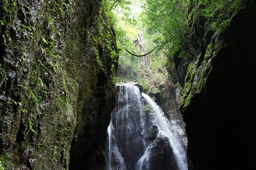 Cascade sacrée dans la vallée de Nakatsu où coule la rivière Niyodogawa dans la préfecture de Kochi, Japon