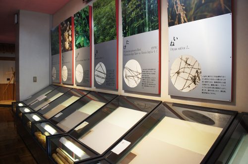 Différents types de Tosa Washi au Musée du Papier Tosa Washi dans la Préfecture de Kochi, Japon