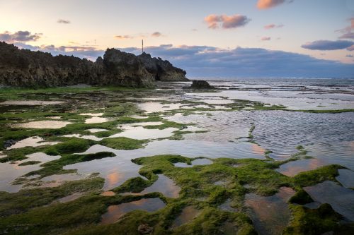 La baie proche du château de Nakijin à proximité de l'aquarium Churaumi sur l'île d'Okinawa, Japon
