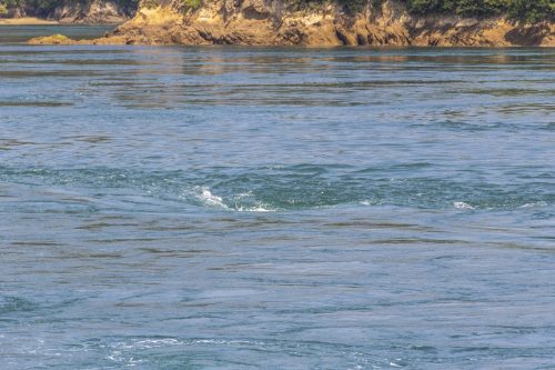 Tourbillon de Naruto depuis la Shimanami Kaido, dans la région de Setouchi au Japon