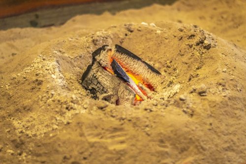 Foyer dans la salle à manger de l'auberge Goushikan près de Murakami dans la préfecture de Niigata, Japon