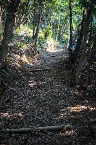 Sentier de randonnée sur l'île d'Ohnyujima, préfecture d'Oita, Japon