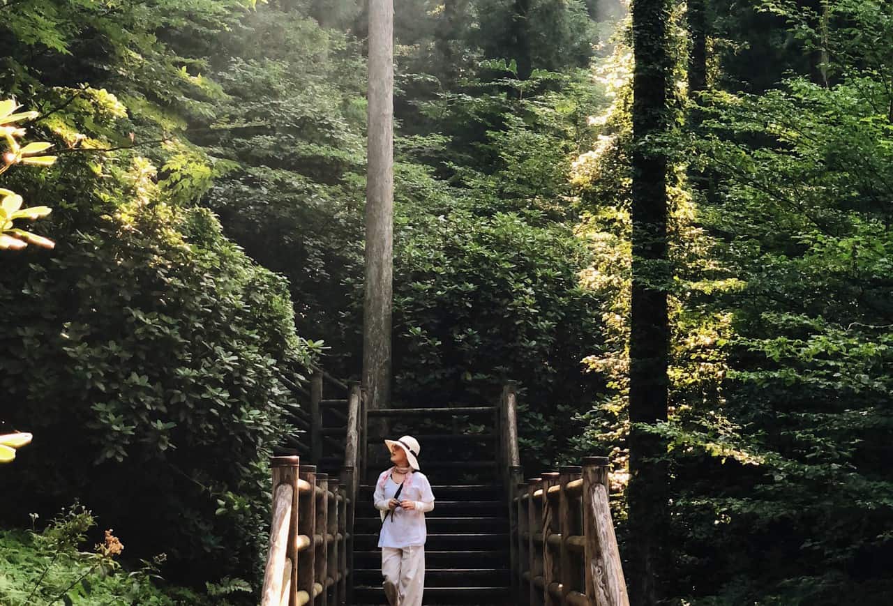 L’été à Toon : trekking et dégustation de nagashi somen
