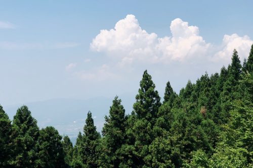 Point de vue depuis les routes de montagne près de Toon, Ehime, Japon