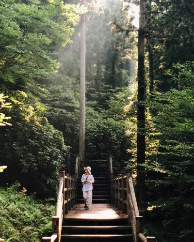 Promenade dans le parc Shinrin près de Toon, Ehime, Japon