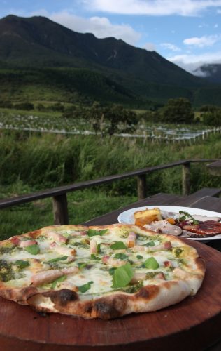 Vignoble Kuju Winery au parc national d'Aso-Kuju, préfecture d'Oita, Kyushu, Japon