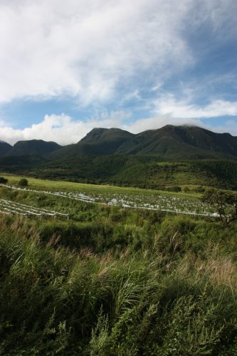 Vignoble Kuju Winery au parc national d'Aso-Kuju, préfecture d'Oita, Kyushu, Japon