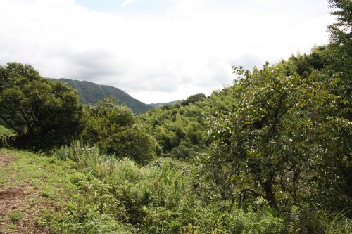 Randonnée olle à Kawara, préfecture de Fukuoka, Kyushu, Japon