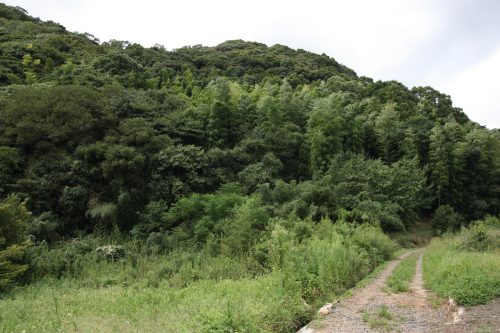Randonnée olle à Kawara, préfecture de Fukuoka, Kyushu, Japon
