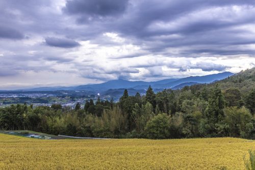 Panorama depuis le sentier de randonnée de la Nakasendō, préfecture de Gifu, Japon