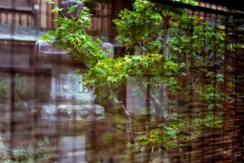 Minshuku Warakuso à Takahama, Préfecture de Fukui, Japon