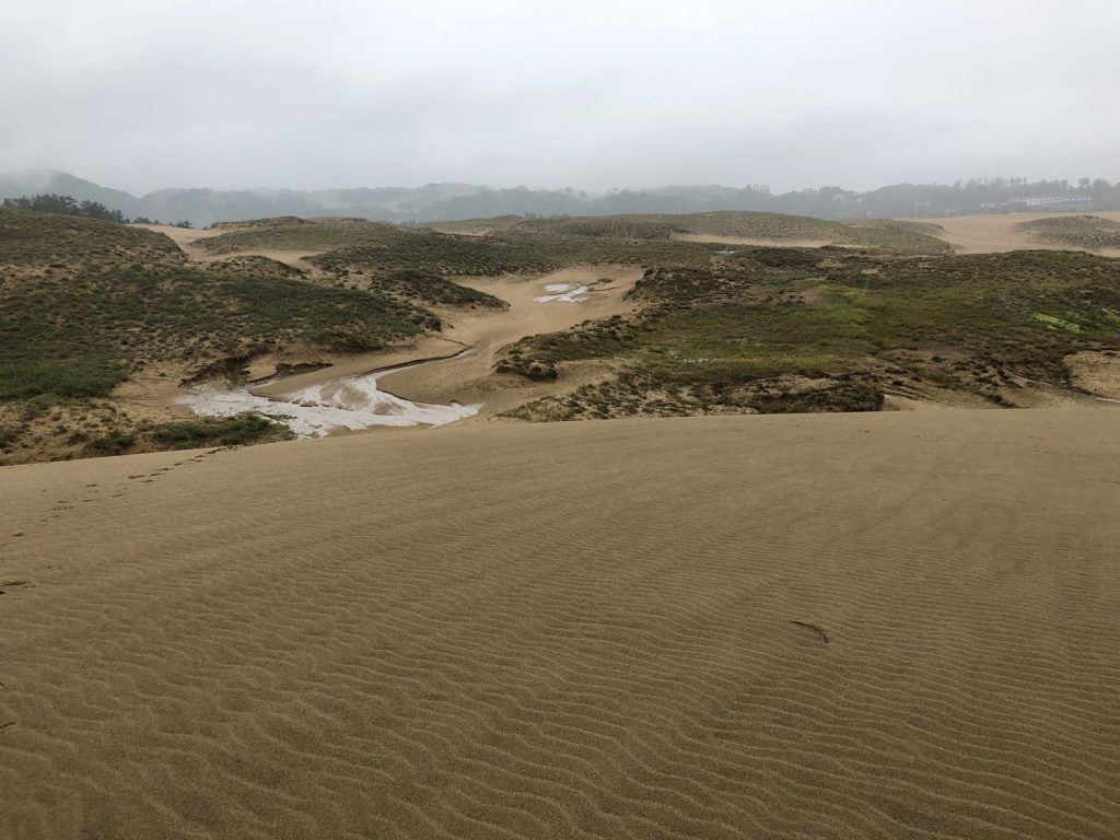 Les majestueuses dunes de sable de Tottori