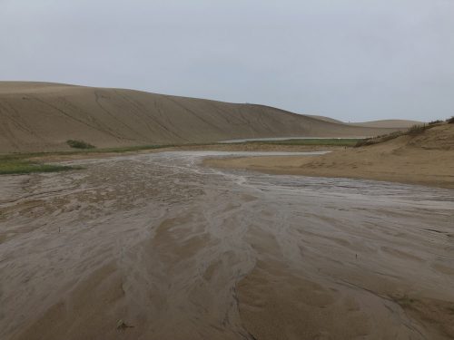 Les dunes de sable de Tottori, préfecture de Tottori, Japon