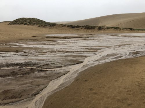 Les dunes de sable de Tottori, préfecture de Tottori, Japon