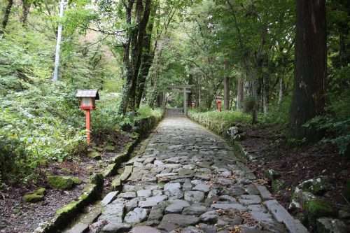 Chemin pavé menant au sanctuaire d'Ogamiyama, au pied du Mt Daisen, préfecture de Tottori, Japon