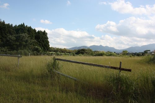 Champ au pied du Mt Daisen dans la préfecture de Tottori, Japon
