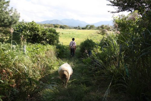 Du Mt Daisen à la Mer du Japon en vélo