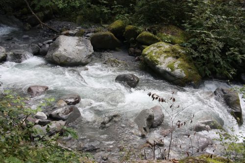 L'eau de source du Mt Daisen dans la préfecture de Tottori, Japon